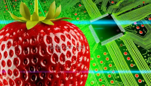 🍓天价草莓背后的创新超市奇谭：20美金一颗，离谱还是颠覆？